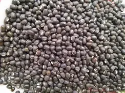 Indian Urad Whole, High In Protein And No Artificial Flavour