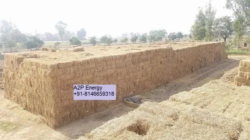 A2P energy in Baled Form Paddy Straw Bales, 20-35 Kgs