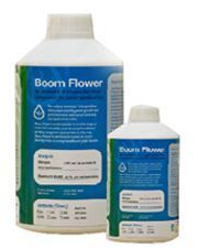 Boom Flower