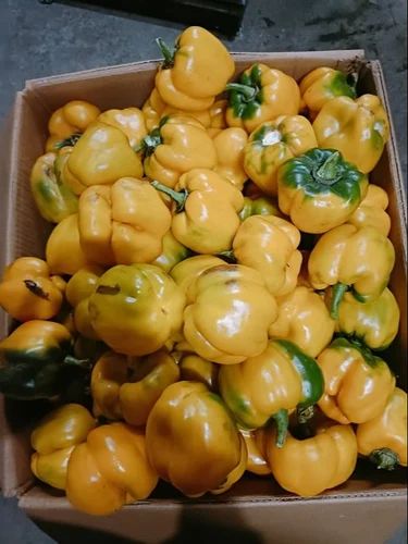 Yellow Peppers, Packaging: Carton