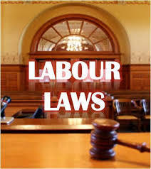 Labour Law Services