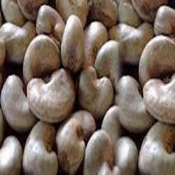 Raw Cashew Nuts, Pack Size: 80 Kg Jute Bag