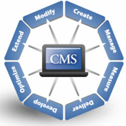 CMS Services