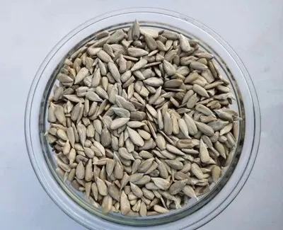 Hulled White Imported Sunflower Seeds, Packaging Type: Packet, Packaging Size: 25kg