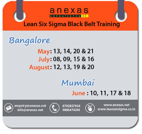 Lean Six Sigma Black Belt Services