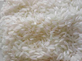 IR64 Rice