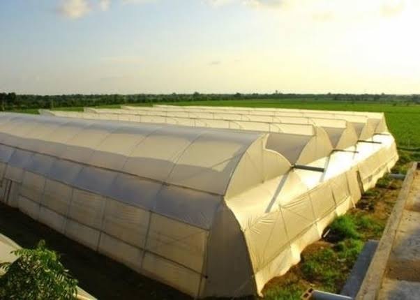 Polyester and Mild Steel Prefab Agriculture Polyhouse