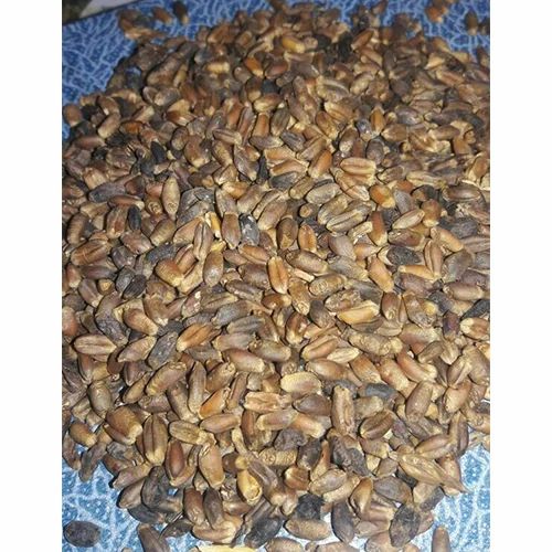 For Cattle Feed Rejection Wheat, Packaging Type: Bags , For Cattle Feed