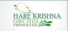 Hare Krishna Orchid