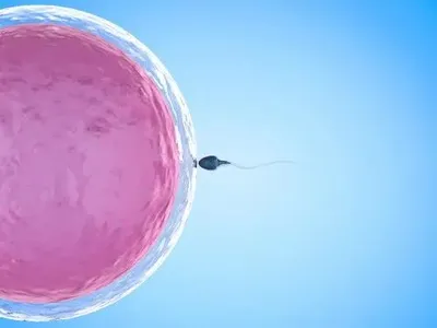 Male/female Infertility Treatment IUI Treatment