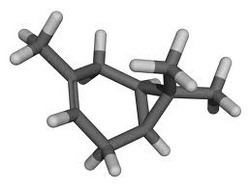 Delta 3 Carene