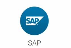 SAP Consultants