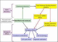 Drug Discovery Projects