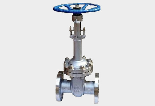 Gate Valve with Extended Bonnet