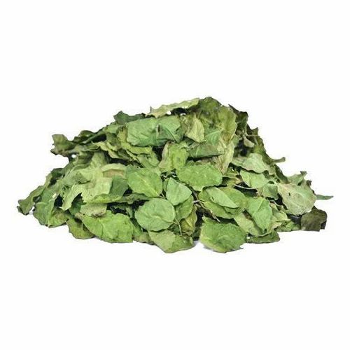 Moringa Dry Leaf, Pouch ,Packaging Type: 25-50 Gm