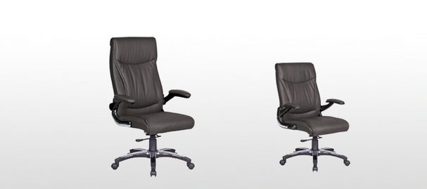 Executive Seating Chairs