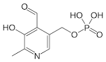 Pyridoxal-5-Phosphate