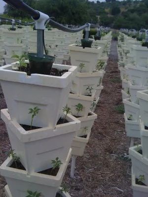 Rectangular Vertigro Pots