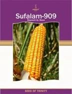 Sufalam 909 (Vegetable Seeds )