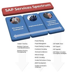 Sap Enterprise Solutions Services