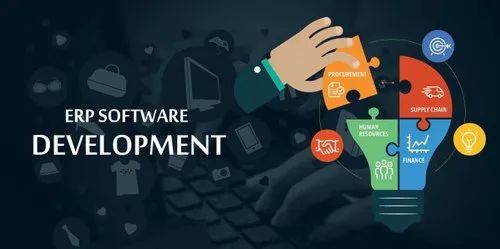 Online ERP Software Development Service, in Pan India