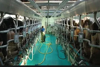 Milking Parlour