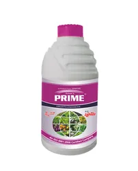 Srikar Prime