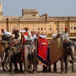 Rajasthan Tour