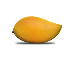 Totapuri Mango Concentrate
