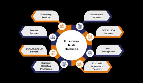 Business Risk Services