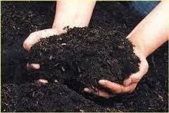 Bio Compost And Bio Manure