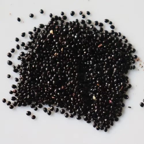Natural Amaranthus Caudatus Seeds, For Agriculture, Packaging Type: Loose