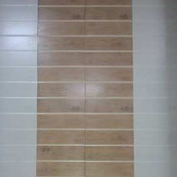 Rustic Series Wall Tiles