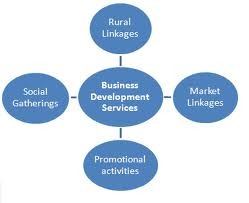 Business Development Services