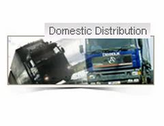 Domestic Distribution Services