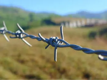 Silver Mild Steel Galvanised Iron Barbed wire, Gauge Size: 10