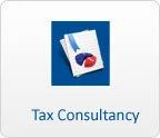 Tax Consultancy Service