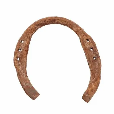 Brown Iron ARKAM Black Horse Shoe