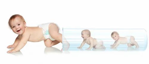 Vitro Fertilization Service