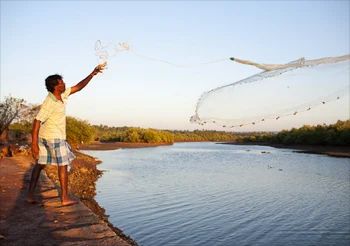 Village Diaries Sindhudurg Maharashtra Tour Packages