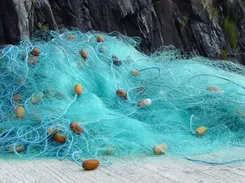 HDPE Fishing Net