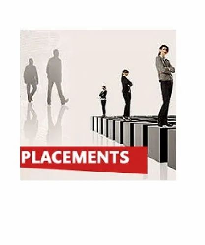 Placement Consultant