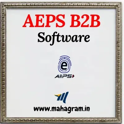 AEPS API B2B Software Development