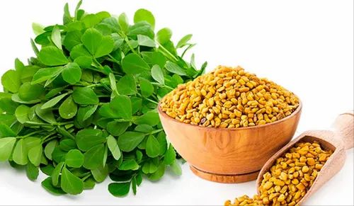 Fenugreek Extract