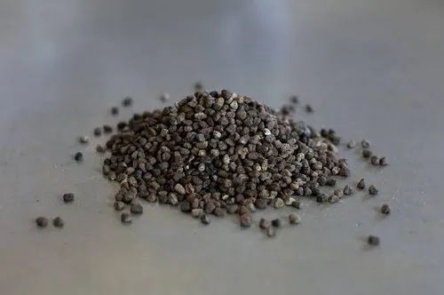 Cardamom  Seed (Rice)