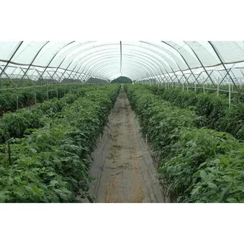 Cultivation Greenhouse