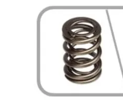 Valve Springs