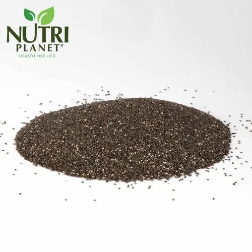Nutriplanet,Fulsome Premium Black Chia seeds, Pack Size: 25kg