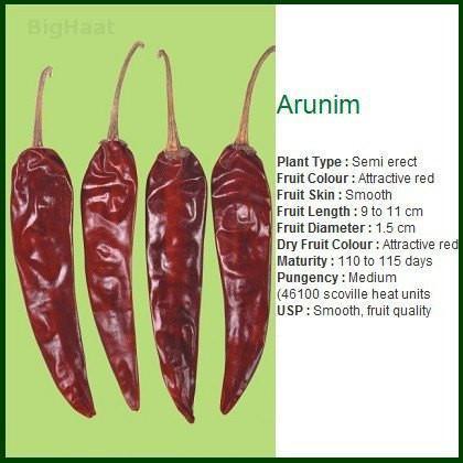 Arunim Chilli Vegetable Seeds