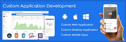 Custom Application Development Service